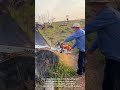 Chainsaw Engineering: Perfect Cuts on Giant Timber Blocks!
