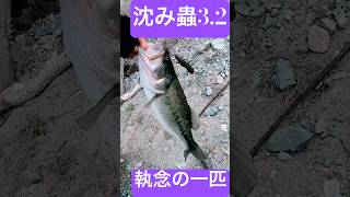 執念の一匹bassfishing バス釣り 沈み蟲 40up 沈み蟲32 ブラックバス