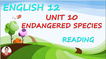 Bee & Ant Channel: English 12 Unit 10 Reading