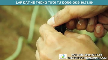 Đầu tưới cỏ phun mưa điều chỉnh góc phun biệt thự sân vườn