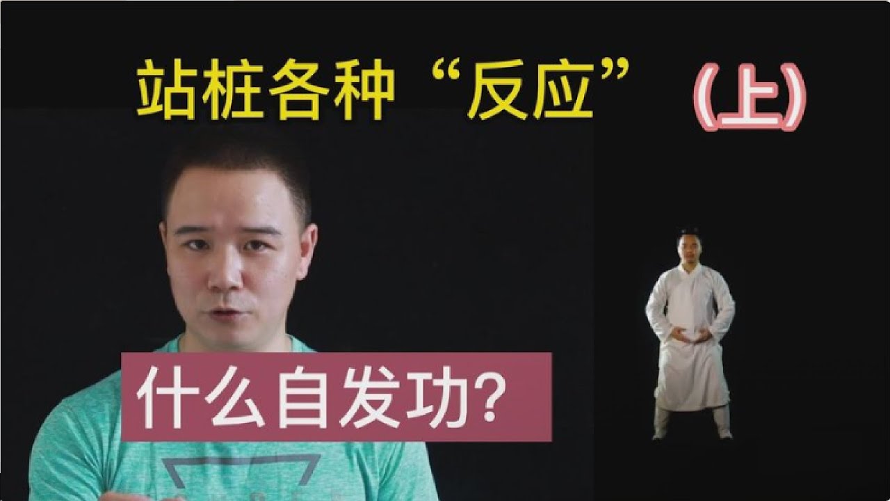 站桩这9条“反应” 坚持下来的人都遇到了 粉丝问答（上）#太极拳