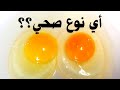 لا تاكل البيض قبل مشاهدة الفيديو أسوأ أنواع البيض لا تاكل البيض قبل مشاهدة الفيديو أسوأ أنواع البيض