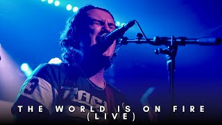 The World Is On Fire - Joey Collins (Live from The Bodega)
