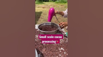 Winnowing: removing the skin/chaff of the cacao bean with a hair dryer. It’s a hot mess…💥🌪