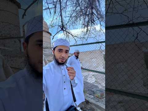 রাসূল সা: যেই জায়গাটায় র-ক্তা-ক্ত অবস্থায় আশ্রয় নিয়েছিলেন।