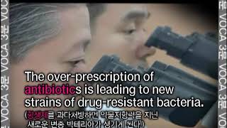 16회 antibiotic 공통 공통