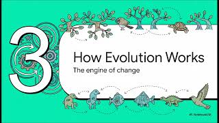 Biogeography: The Origin & Evolution of Life.