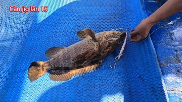 Câu jig lần 15: MỘT BỮA ĂN TRÊN GHE HOÀNH TRÁNG!