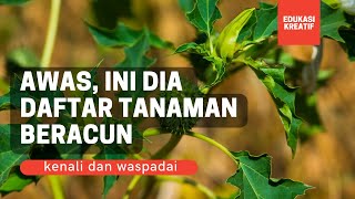 Ini Dia Daftar Tumbuhan Beracun Yang Wajib Kamu Waspadai