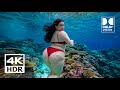 Insane Dolby Vision 4K HDR 60 FPS (4K Video) ULTRA HD #4k #4khdr