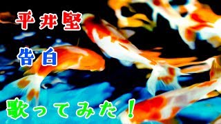 平井堅　告白　ドラマ　Wの悲劇　主題歌　歌ってみた　歌詞付き　cover　full　ひらいけん　カバー　フル