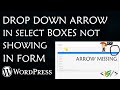 Drop down arrow in select boxes not showing in form in Wordpress - how to Fix it?