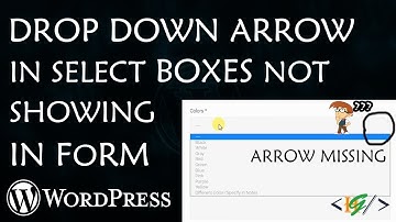 Drop down arrow in select boxes not showing in form in Wordpress - how to Fix it?