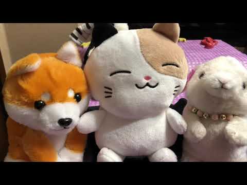 かもめの水兵さんドレミ