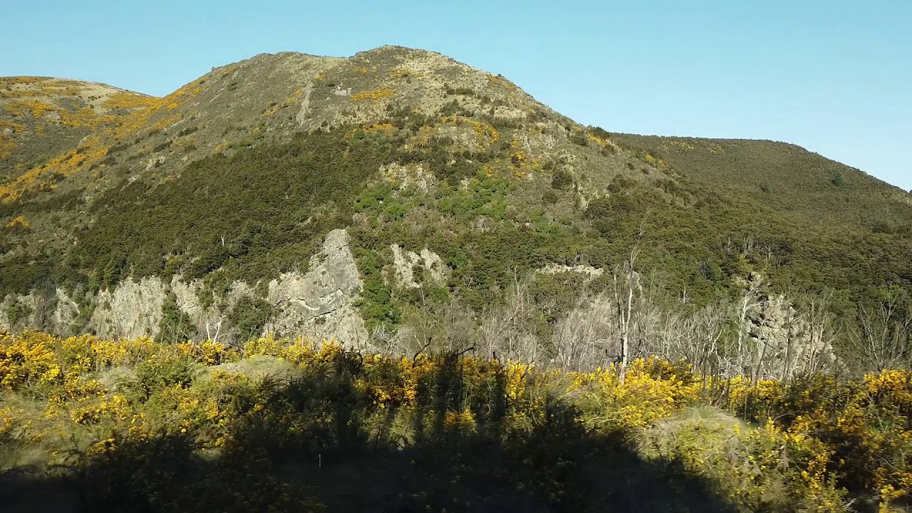 TranzAlpine train from Arthur's Pass to Christchurch