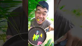 Con Tắc Kè Màu Xanh Màu Đỏ , Em Bắt Về Em Nấu Cà Ri, Ăn Kẹo Dẻo Cá Sấu