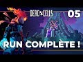 Run complte  dead cells 05