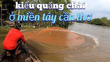 #525. Quăng Chài Đầu Tiên Dính Cá THẤY MÊ Liên Tục. Unique style of Quan Chai in the west of Can Tho