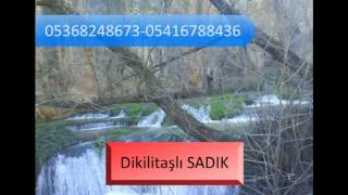 Dikilitaşlı sadık ~ Aman bitmez oldu