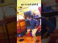 video l #Pawan_Singh I रंग थोपे थोप l Shivani Singh l Rang Thope thope I #Bhojpuri #Holisong 2025