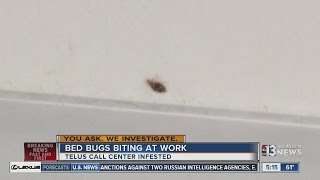 Employees report bed bugs at call center