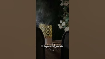 سورة الملك #السعودية #اكسبلور #allahquran #مصر #algeria #العراق #الجزائر #ترند #اكسبلور #قرآن #حالات