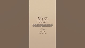 سورة الحجرات [ 7 - 8 ] ~ القارئ حمزة معاذ