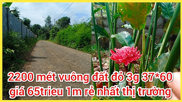 Bán đất nền bà Rịa vũng tàu - chủ kẹt tiền cần bán gấp 2sao2 đất đường đá chuẩn lên nhựa giá rẻ