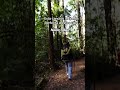 Un clip de mis vacaciones en el sur de Chile #musica #surdechile #nature