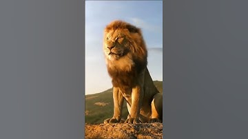 Thumbnail of Lion Roar in Jungle Lion sound effects #shorts #lion #simba