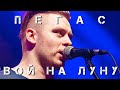 ПЕГАС - Вой на луну (Сектор Газа кавер)