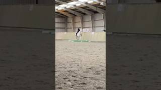 Ikk tænk på jeg hopper så meget 😅 #equestrianjourney #equestrian #horse #pony