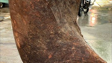 GL gốc càte krôngpa hay còn gọi là gõ đỏ đông đặc tinh lõi đặc tịt 84kg ạ