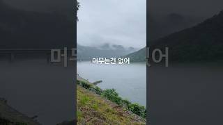 머무는건 없지만 마음은 그대로 #물안개 의암댐