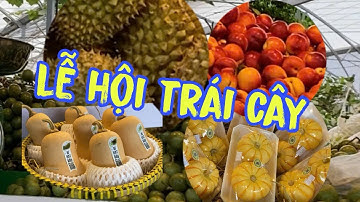 Tham quan lễ hội trái cây ở KDL Suối Tiên #23. Hùng Tình Vlog