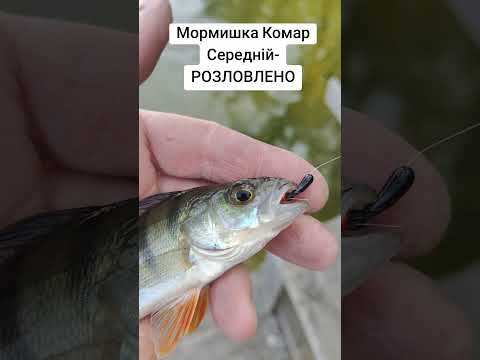Мормишка Безмотильна "Комар Середній" - Розловлено! Безмотилка в Україні