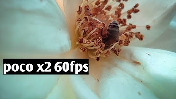 Poco X2 60fps video shoot || by poco phone
