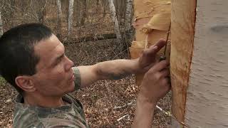 Sharing Medicines: Balsam Bark, Poplar Bark, Sage, Sweetgrass, and Wihkes. screenshot 3