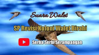 SP WALET BIRAHI