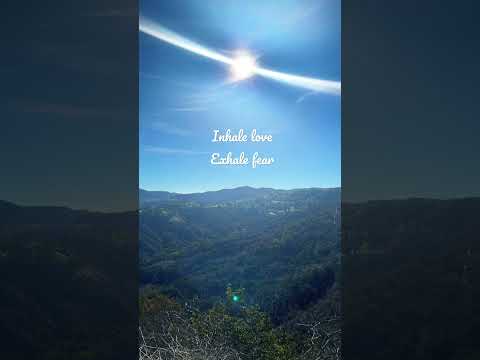You Tube Video
