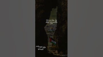 قران كريم تلاوه خاشعه يريح قلبك 💚 #راحة_نفسية #قران #اكسبلور #قرآن #لايك