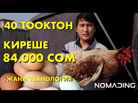 КРИЗИС УБАГЫНДА КАНТИП АКЧА ТАПСА БОЛОТ? Жылдык киреше 84 миң сом!