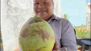 Fantastic Coconut cutting- Fresh Coconut opening