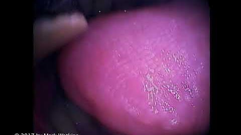 Chapter 14: 05 JAZZ: Half Tonguing 1