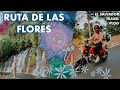 Driving the Ruta De Las Flores 🌸🌼 Backpacking El Salvador 🇸🇻 Travel Vlog