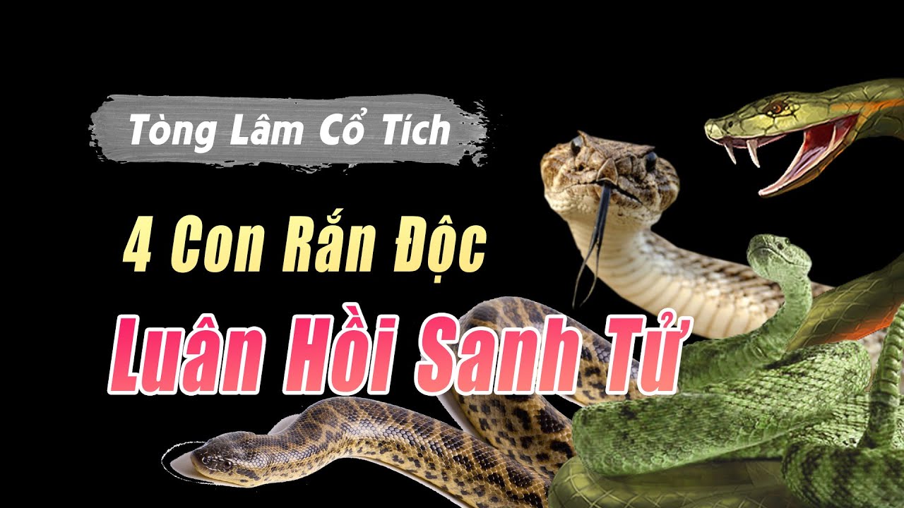 Kể Chuyện Phật Giáo 🙏 4 Con Rắn Luân Hồi | Tòng Lâm Cổ Tích | Phật Pháp ...
