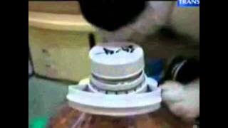 ON THE SPOT 7  aksi lucu hewan cerdas