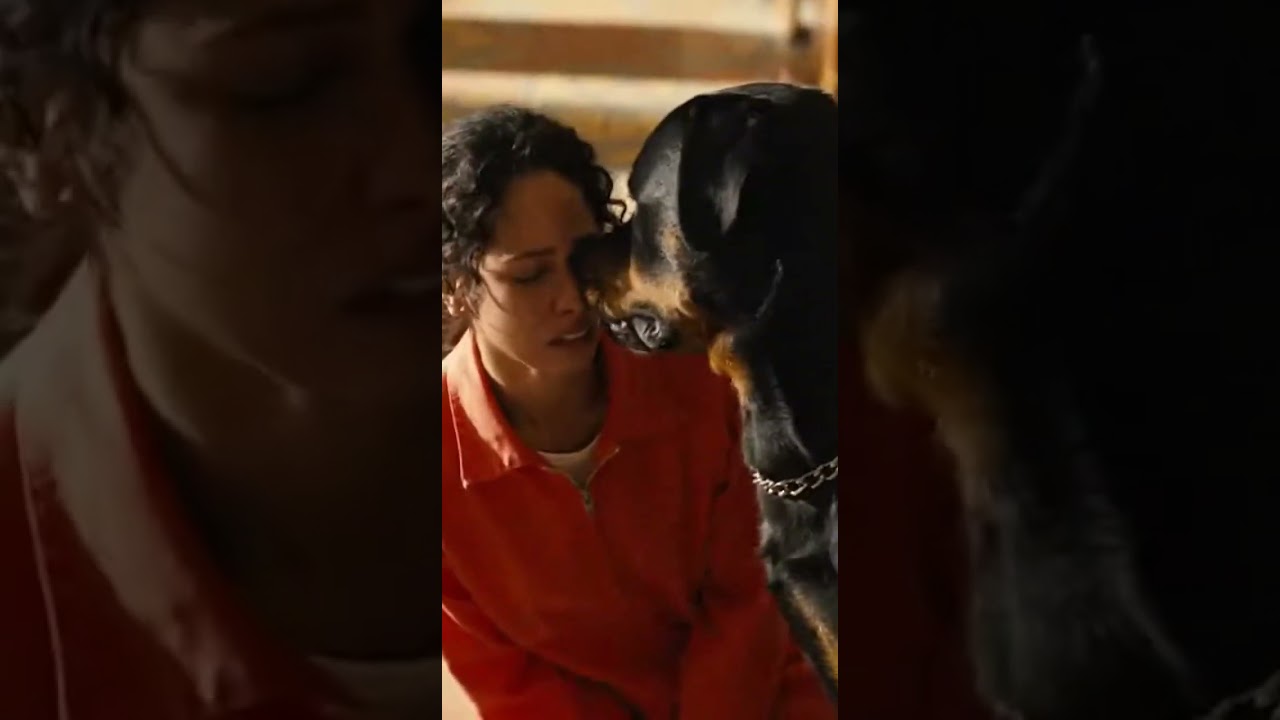 Court Case Justice Story /  Reaction On Life Sentence 