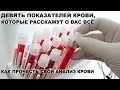 Анализ крови на wbc и расшифровка показателей, норма у женщин и мужчин