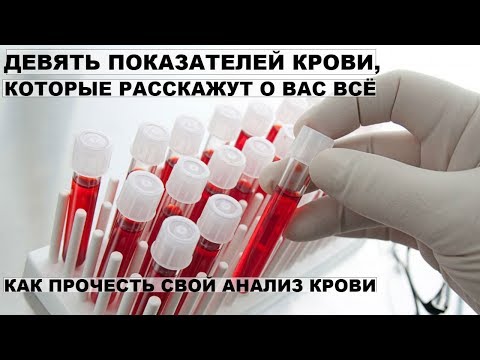 Как узнать анализ крови через интернет